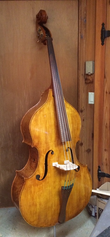 5 string double store bass for sale