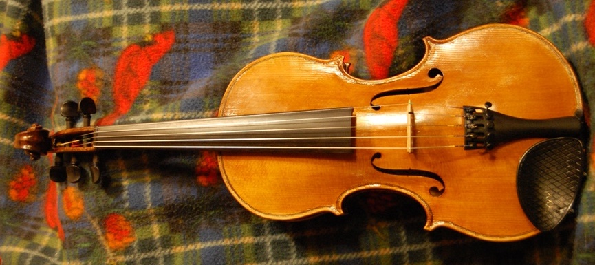 five string fiddle