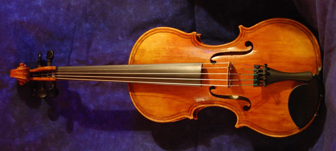 five string viola